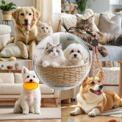 3D-Kristallkugel-Videoplayer